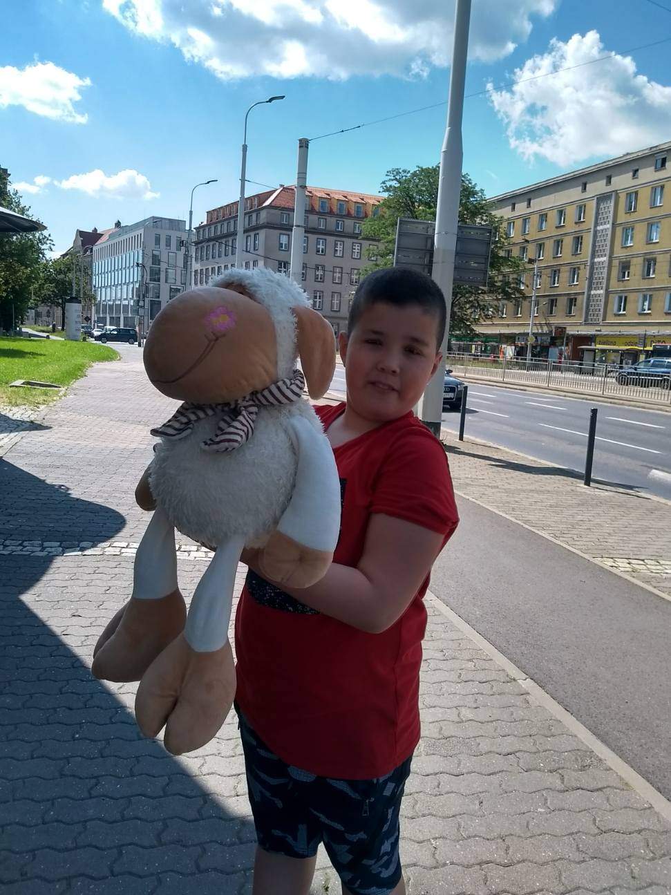 2020-07-06 – Wędrówki owieczki Madzi