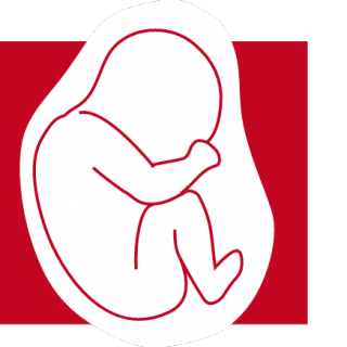 List Polskiego Stowarzyszenia Obrońców Życia Człowieka